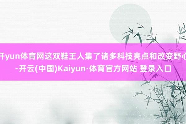 开yun体育网这双鞋王人集了诸多科技亮点和改变野心-开云(中国)Kaiyun·体育官方网站 登录入口